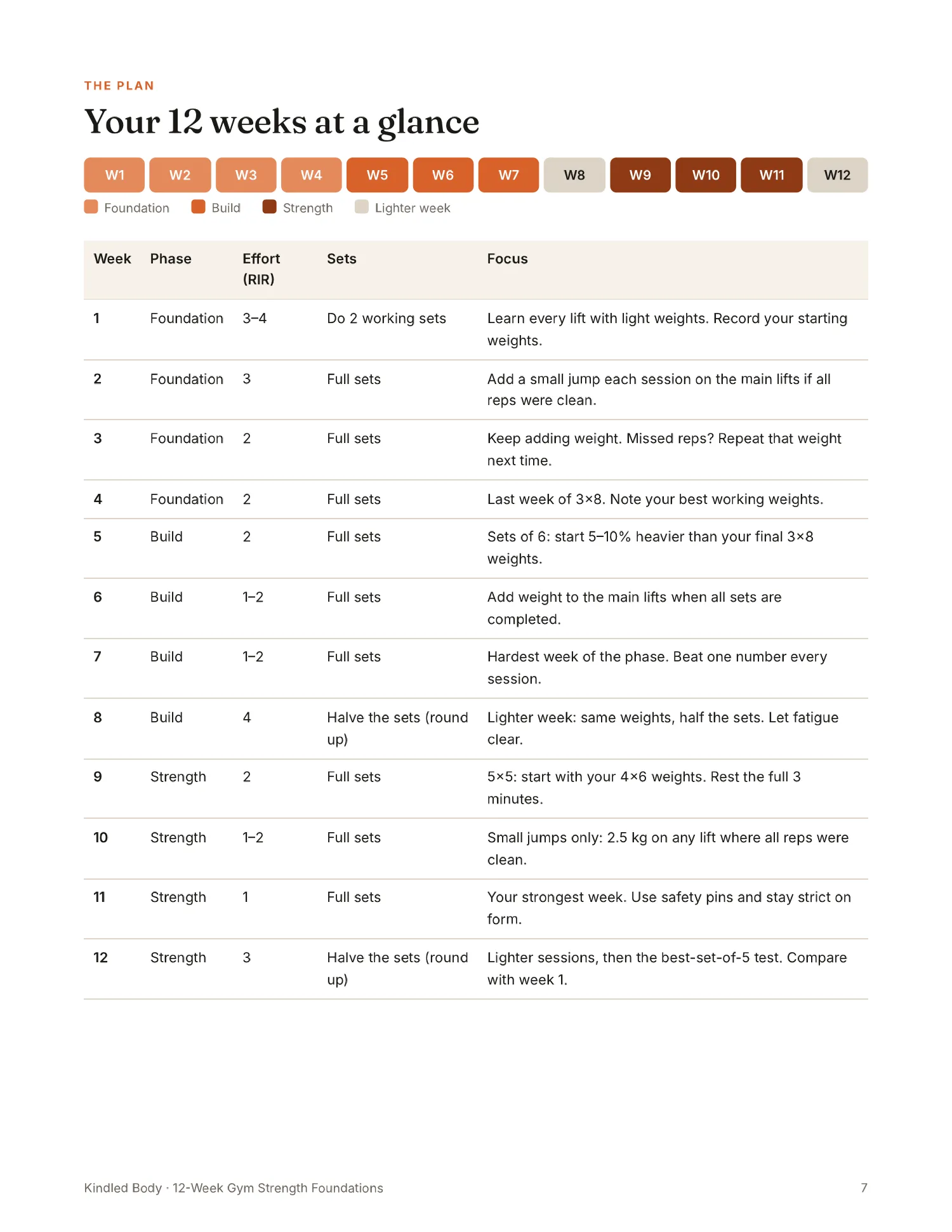 Your 12 weeks at a glance