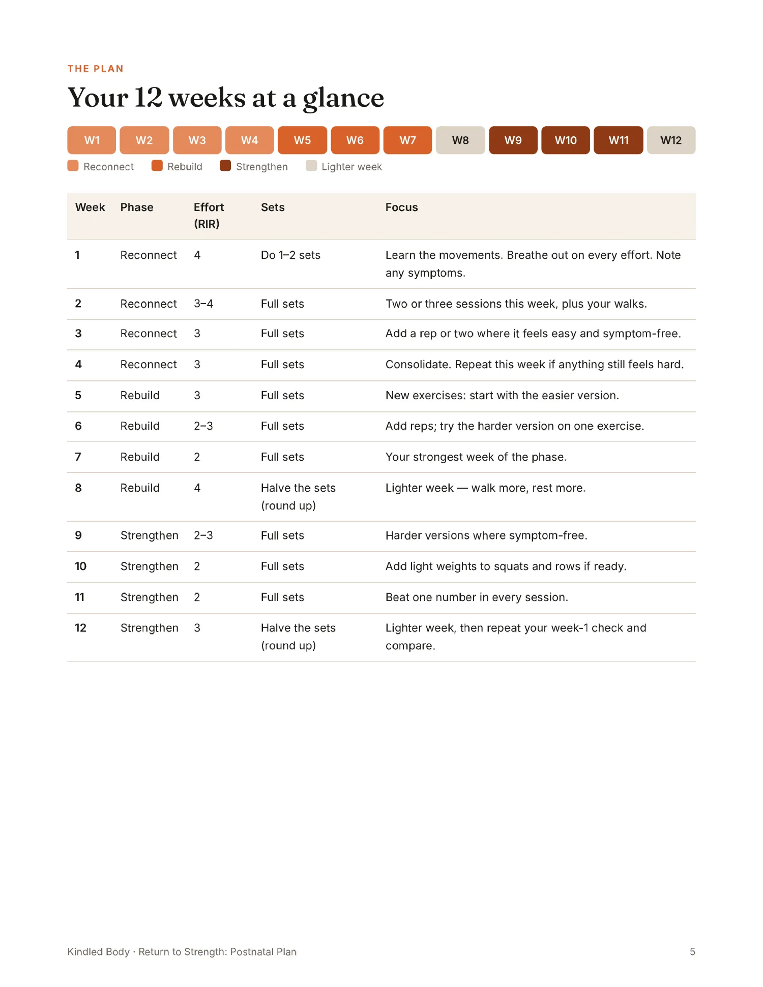 Your 12 weeks at a glance